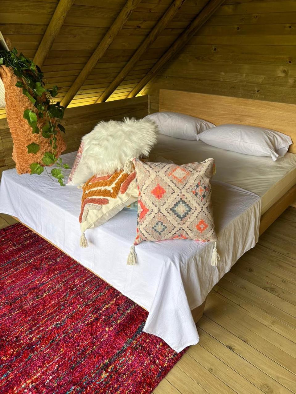 Chalet Colibri *