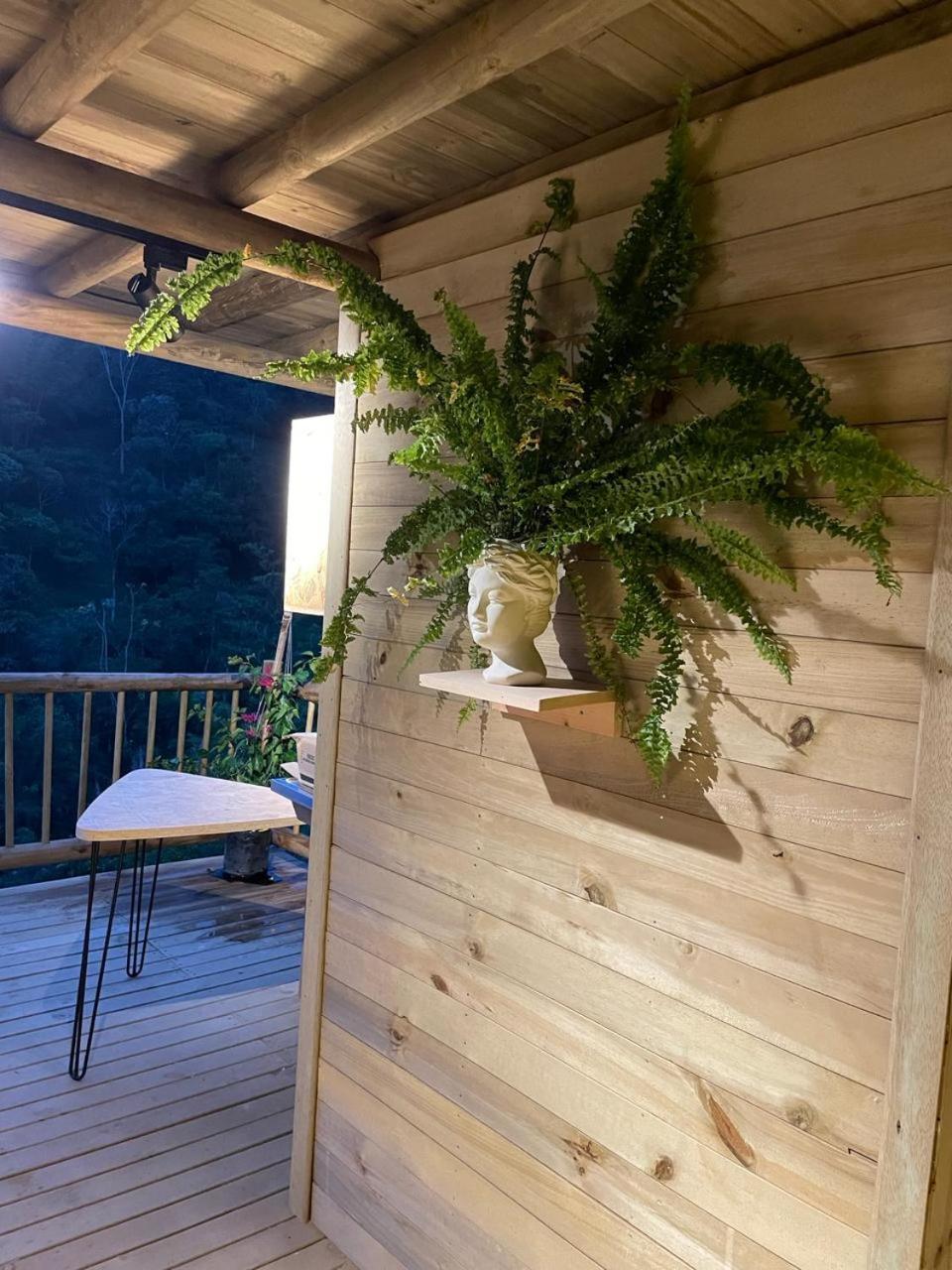 Chalet Colibri Cocorna