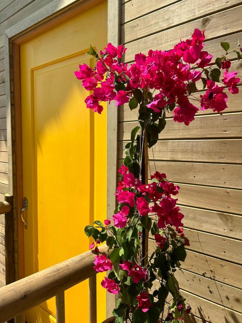Colibri Chalet *