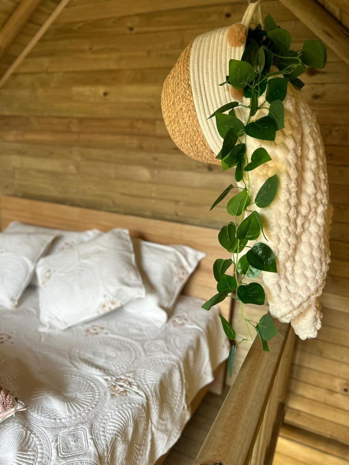 Chalet Colibri Cocorna